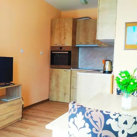 Appartamento Big Apartment Near The Sea + Kitchen, Wifi &Ac Nesebar
